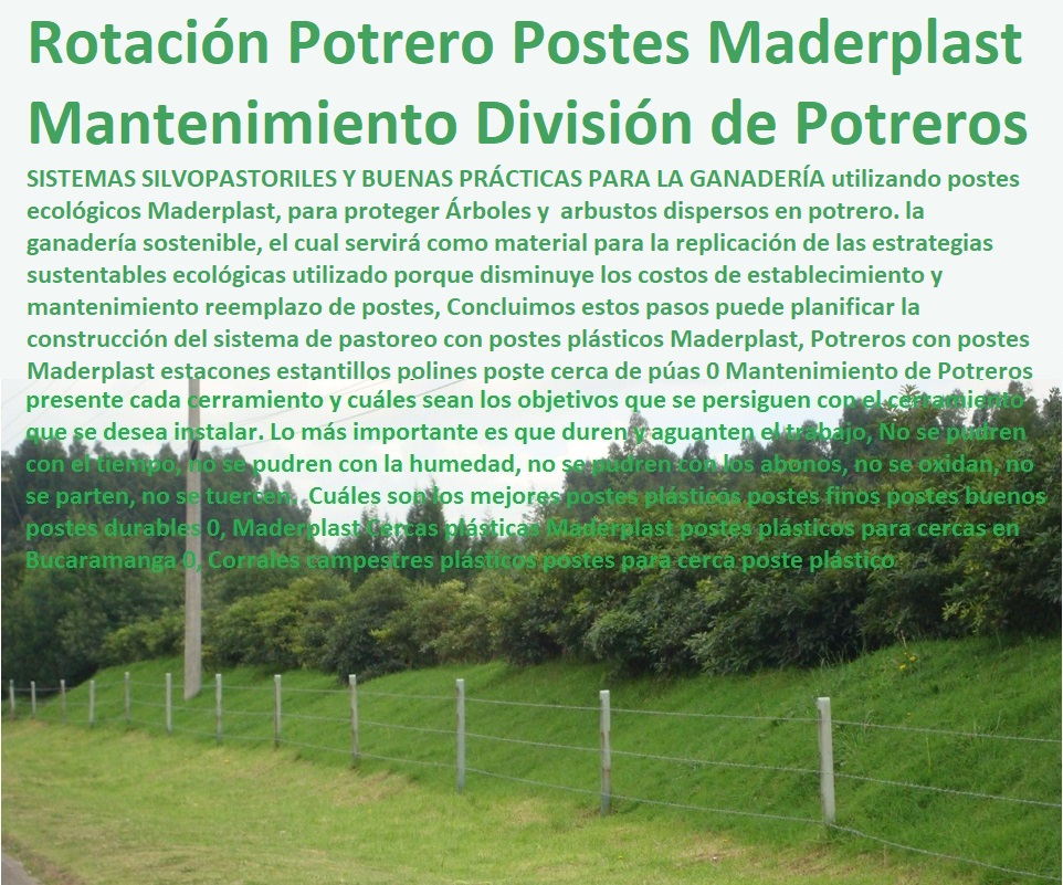 Potreros con postes Maderplast estacones estantillos polines poste cerca de púas 0 Mantenimiento de Potreros 0 División de Potreros con Postes Maderplast 0 Pastoreo Intensivo, Establos, Corrales, Saladeros, Comederos, Cerramientos, Postes, Ganaderías Tecnificadas, Ganaderías Tecnificadas, Explotación Ganadera Automatizada, Sistemas de Pastoreo, Estabulación de Ganado, La Rotación de Potreros con Postes Maderplast 0 Manual de Buenas Prácticas Potreros con postes Maderplast estacones estantillos polines poste cerca de púas 0 Mantenimiento de Potreros 0 División de Potreros con Postes Maderplast 0 La Rotación de Potreros con Postes Maderplast 0 Manual de Buenas Prácticas